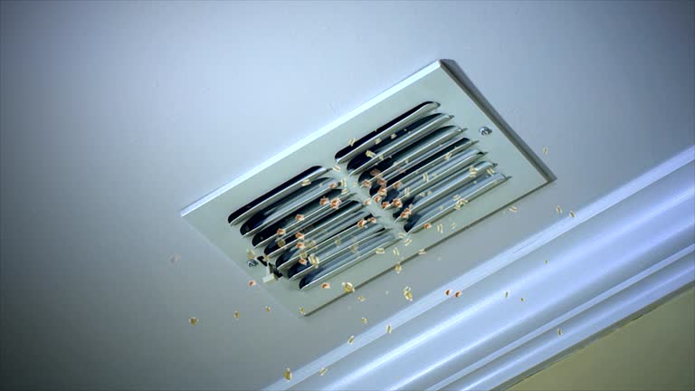 Best General Air Duct Cleaning  in Chatmoss, VA