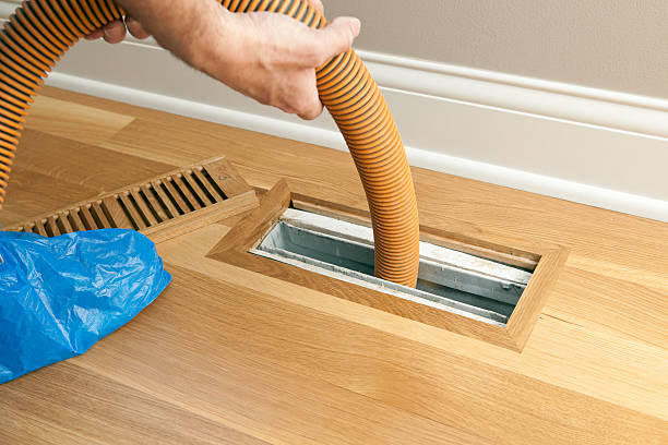 Best Professional Duct Cleaning Services  in Chatmoss, VA